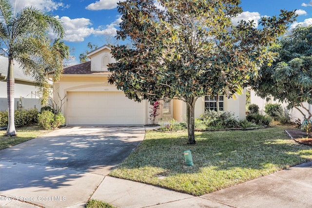 obstructed view of property with a front yard