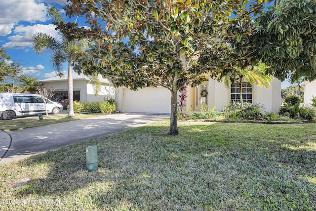 obstructed view of property featuring a front yard