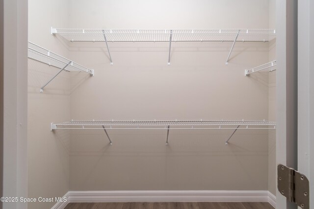 walk in closet with hardwood / wood-style floors