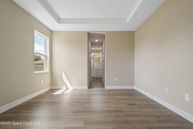 228 Dunlap Ave SE, Palm Bay, FL 32909 - unfurnished room with a raised ceiling, wood finished floors, and a healthy amount of sunlight