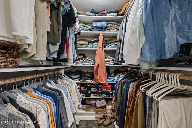 view of spacious closet