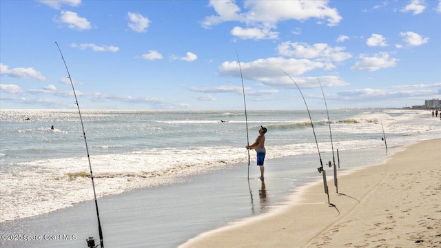 property view of water with a beach view