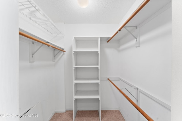 spacious closet with light colored carpet