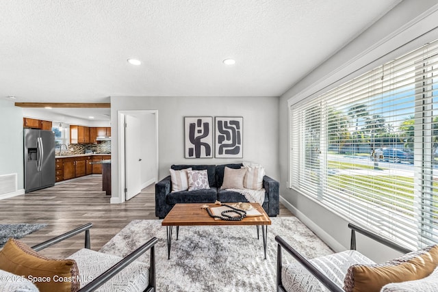 living room featuring wood-type flooring, sink, and a textured ceiling