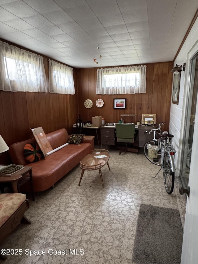 living room featuring wooden walls