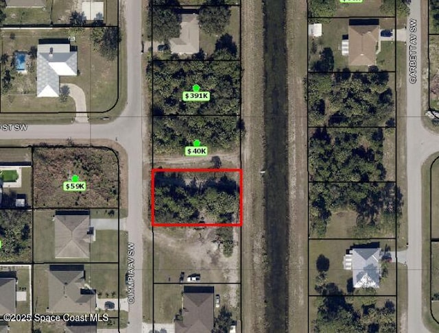 2007 Olympia Ave SW, Palm Bay FL, 32908 land for sale