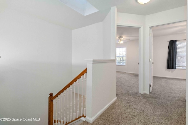 hall featuring carpet flooring and a skylight