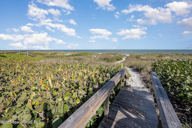 view of community featuring a water view and a view of the beach