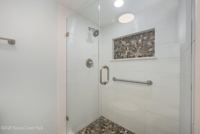 bathroom featuring a shower with shower door