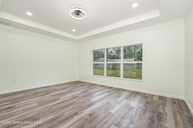 spare room with a raised ceiling and wood-type flooring