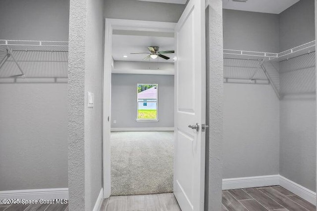 spacious closet featuring carpet flooring and ceiling fan