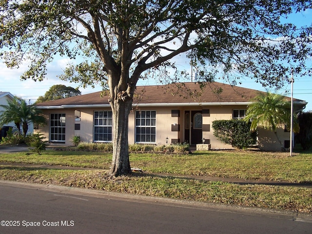 ranch-style house featuring a front yard