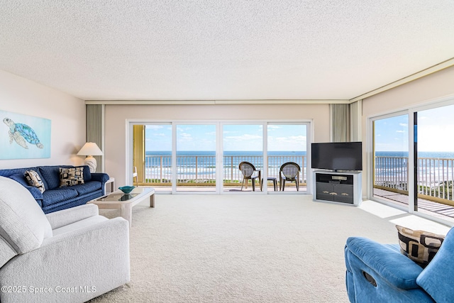 living room with carpet and a textured ceiling