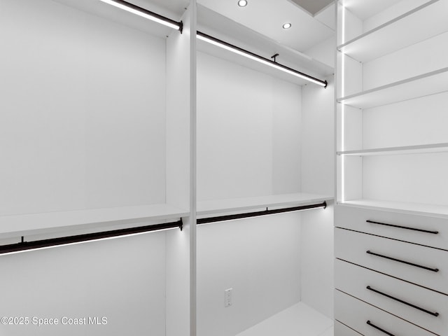 view of walk in closet