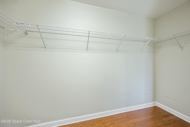 walk in closet with hardwood / wood-style floors