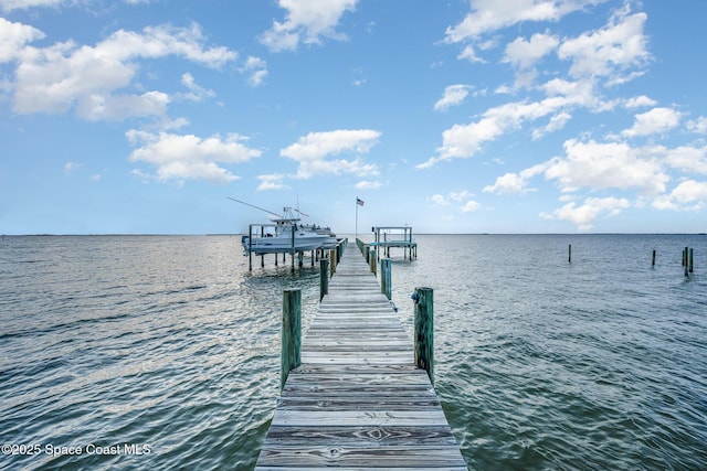 dock area featuring a water view