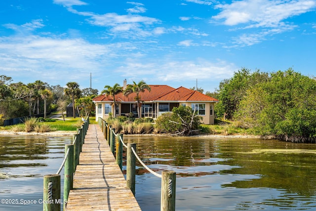 dock area with a water view