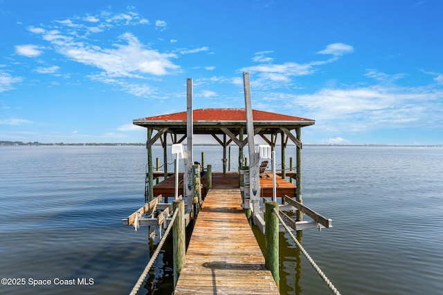 dock area with a water view