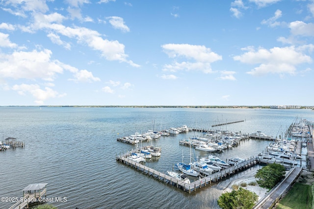 view of water feature featuring a dock