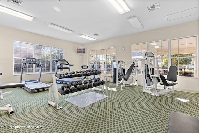 workout area with carpet flooring