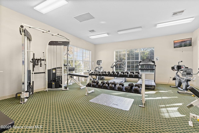 exercise room with carpet