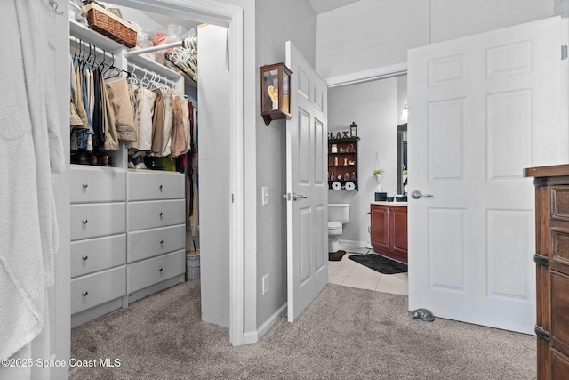 interior space with light colored carpet