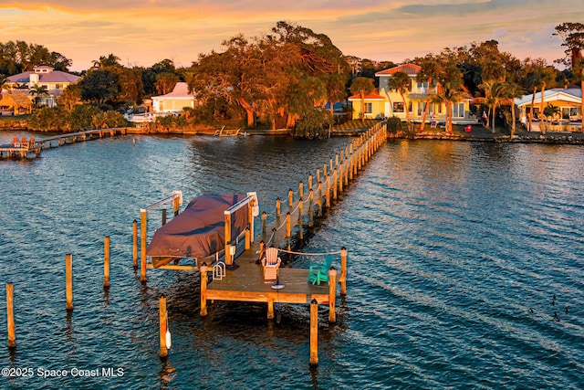 dock area with a water view