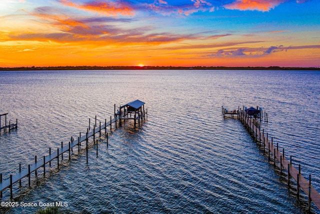 dock area with a water view