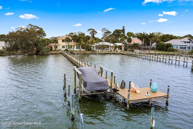 dock area with a water view