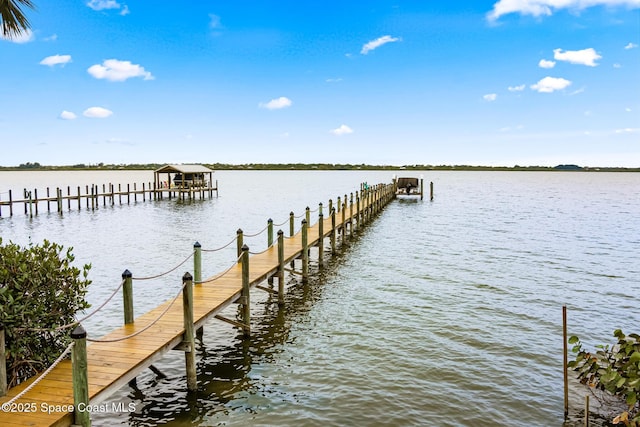 dock area featuring a water view