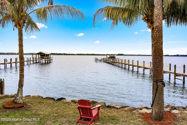 dock area with a water view