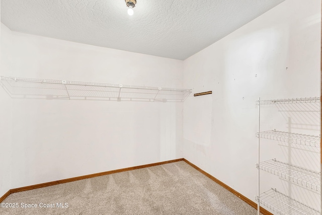 spacious closet with carpet flooring