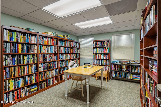 carpeted office space with a paneled ceiling