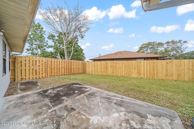 view of yard featuring a patio