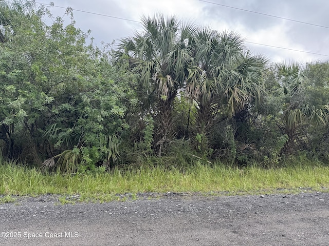 2117 Begonia Ave, Palm Bay FL, 32908 land for sale