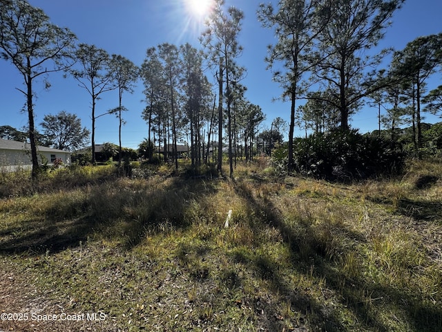 2497 Palmarita St SE, Palm Bay, FL 32909 - photo 6
