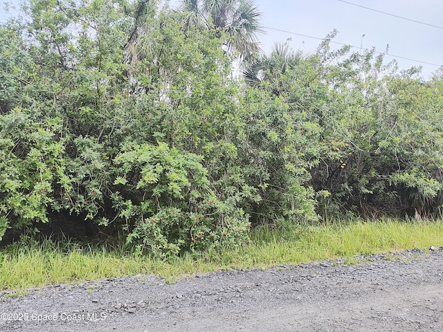 3395 SW Fitzpatrick Ave, Palm Bay FL, 32908 land for sale