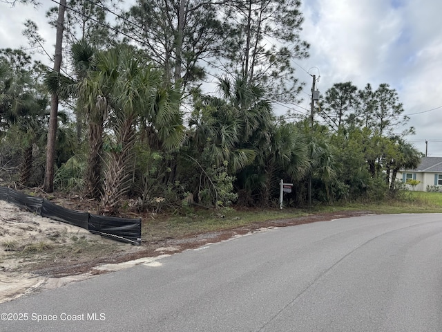 3395 SW Fitzpatrick Ave, Palm Bay FL, 32908 land for sale