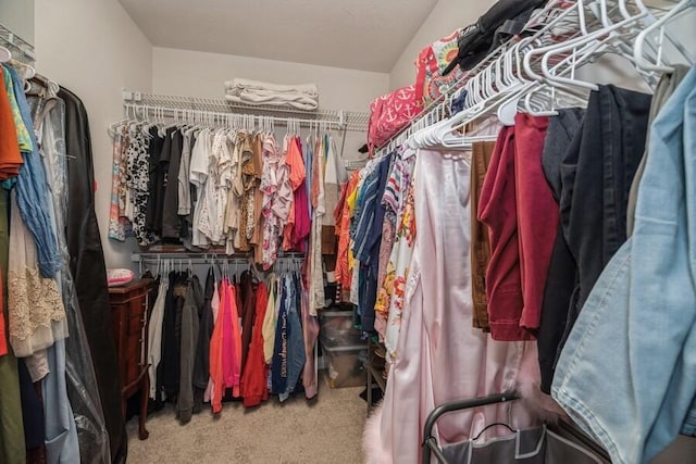 spacious closet featuring carpet