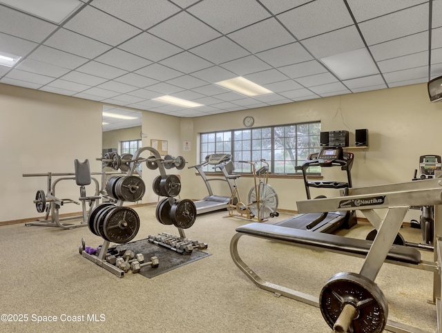 gym with carpet flooring and a drop ceiling