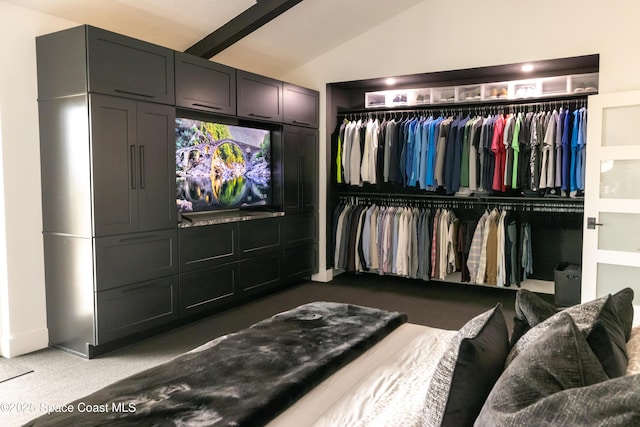 interior space with lofted ceiling, carpet flooring, and a closet