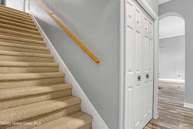 staircase featuring hardwood / wood-style flooring