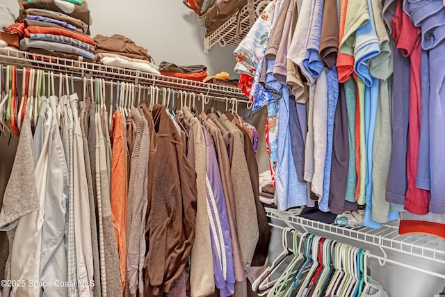 view of spacious closet