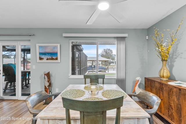 dining space featuring hardwood / wood-style flooring and ceiling fan