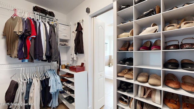 view of spacious closet