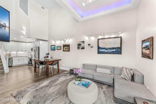 living room featuring sink, a towering ceiling, wood-type flooring, and ornamental molding