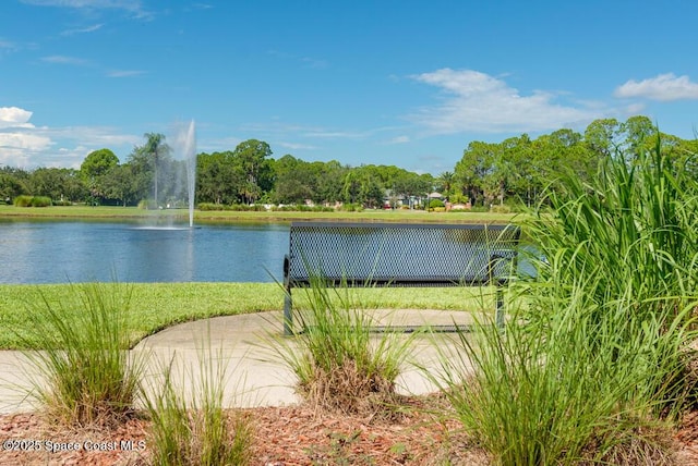 property view of water