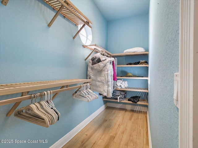 spacious closet with hardwood / wood-style flooring