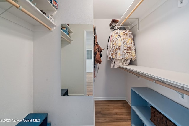 walk in closet featuring wood finished floors