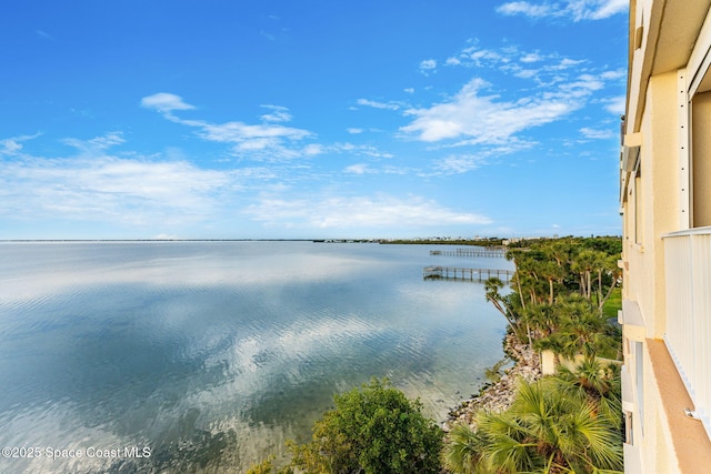 property view of water